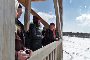 Парк природы Беремицкое